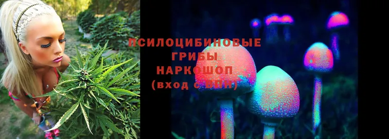 Галлюциногенные грибы Psilocybine cubensis  хочу   Буинск 